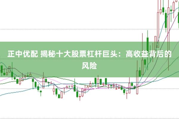 正中优配 揭秘十大股票杠杆巨头：高收益背后的风险