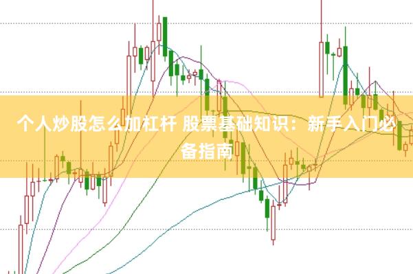 个人炒股怎么加杠杆 股票基础知识：新手入门必备指南