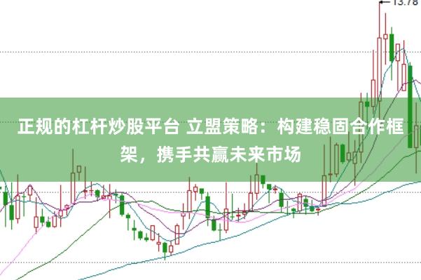 正规的杠杆炒股平台 立盟策略：构建稳固合作框架，携手共赢未来市场