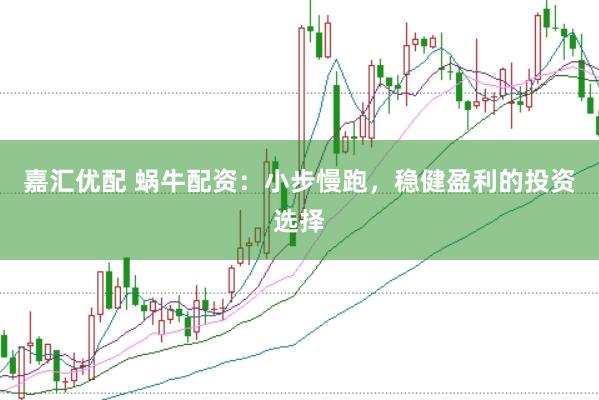 嘉汇优配 蜗牛配资：小步慢跑，稳健盈利的投资选择
