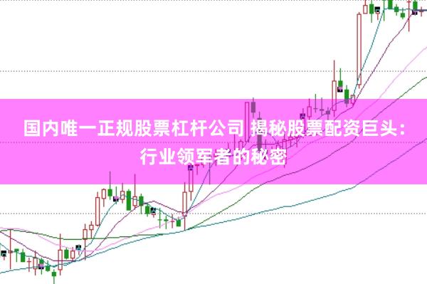 国内唯一正规股票杠杆公司 揭秘股票配资巨头：行业领军者的秘密