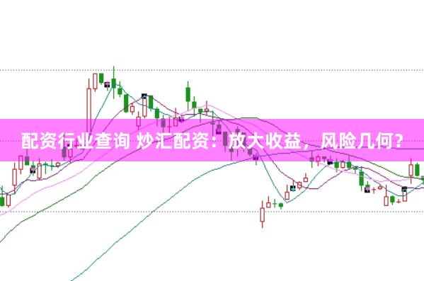 配资行业查询 炒汇配资：放大收益，风险几何？