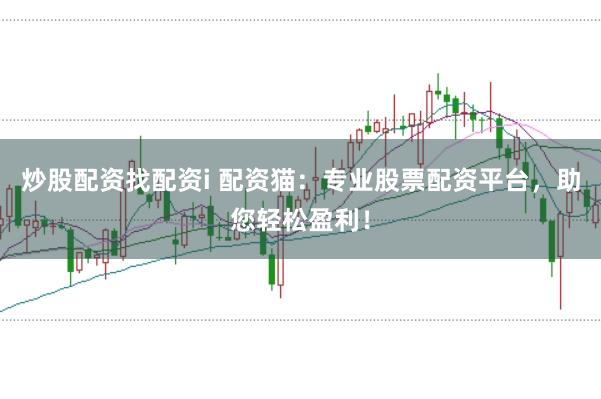 炒股配资找配资i 配资猫：专业股票配资平台，助您轻松盈利！