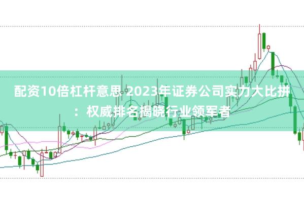 配资10倍杠杆意思 2023年证券公司实力大比拼：权威排名揭晓行业领军者