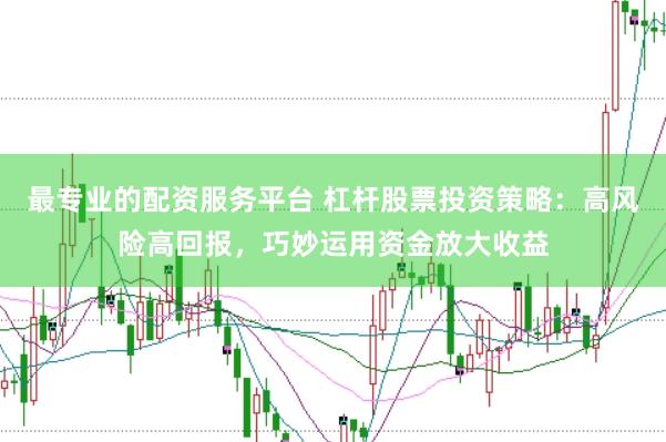 最专业的配资服务平台 杠杆股票投资策略：高风险高回报，巧妙运用资金放大收益
