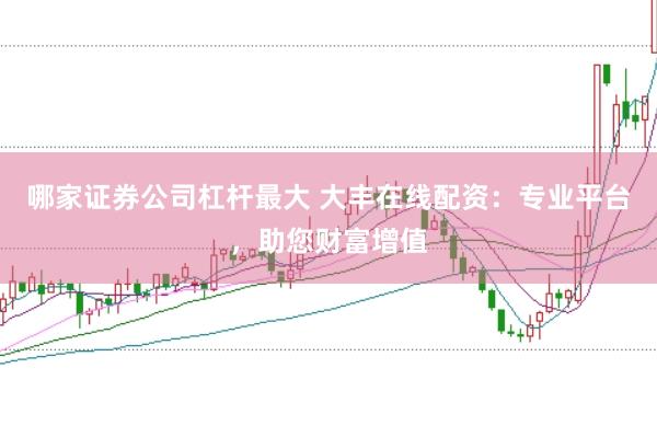 哪家证券公司杠杆最大 大丰在线配资：专业平台，助您财富增值