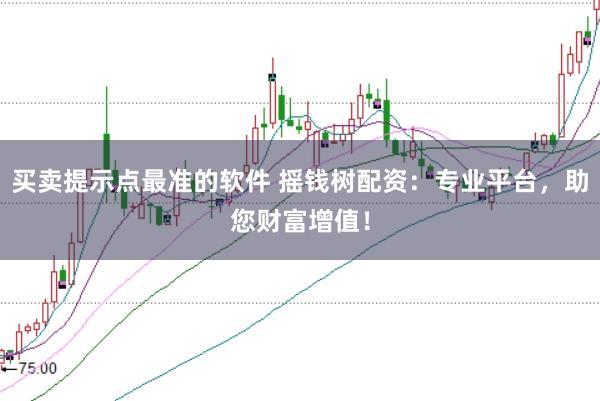买卖提示点最准的软件 摇钱树配资：专业平台，助您财富增值！