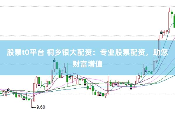 股票t0平台 桐乡银大配资：专业股票配资，助您财富增值