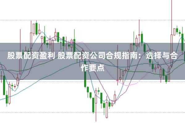 股票配资盈利 股票配资公司合规指南：选择与合作要点