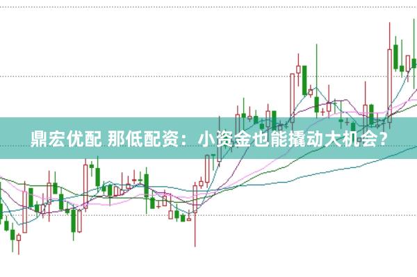 鼎宏优配 那低配资：小资金也能撬动大机会？
