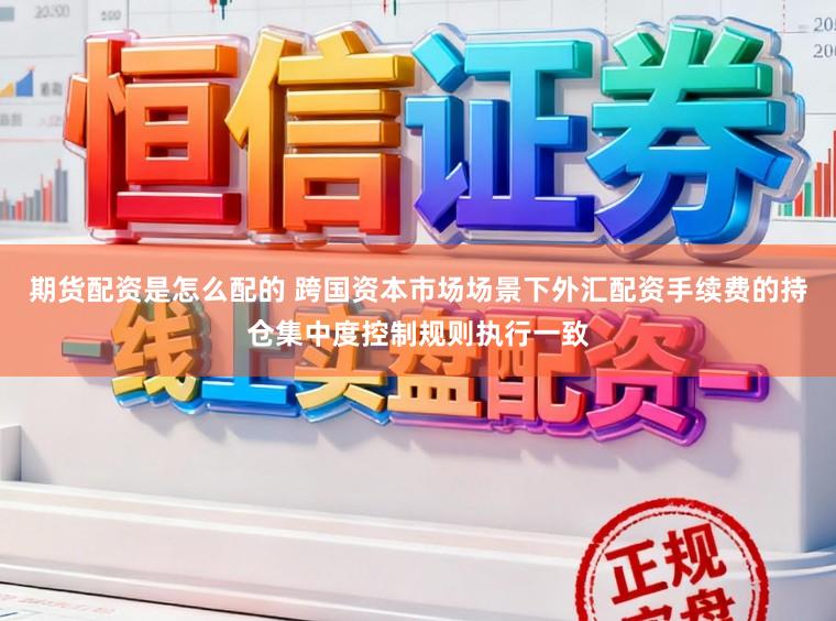 期货配资是怎么配的 跨国资本市场场景下外汇配资手续费的持仓集中度控制规则执行一致