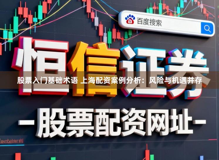 股票入门基础术语 上海配资案例分析：风险与机遇并存